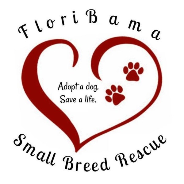 flora bama small breed